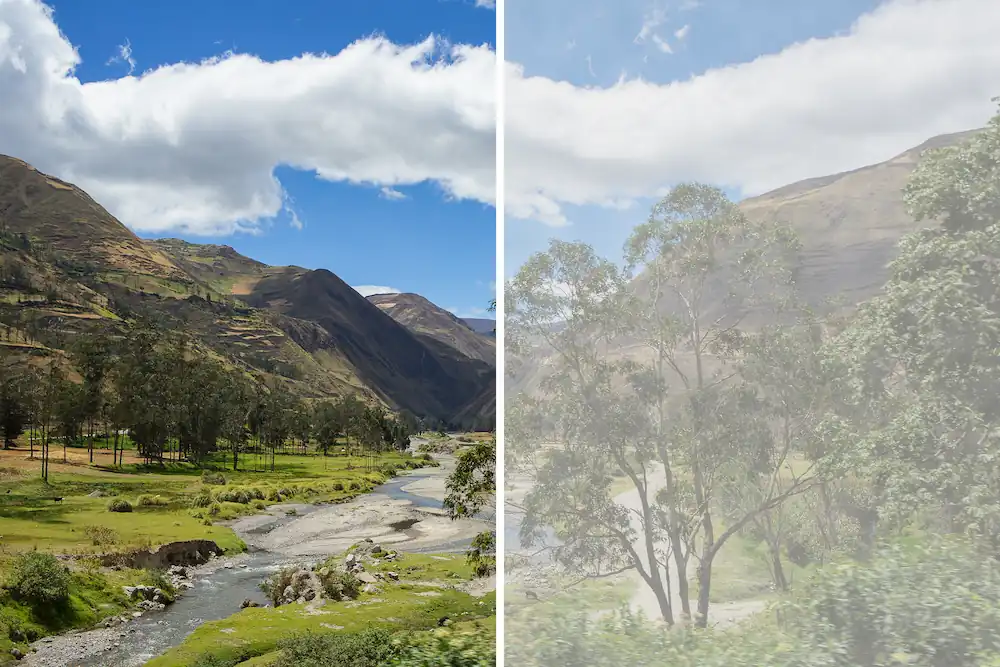 Healthy vision compared to vision with cataracts